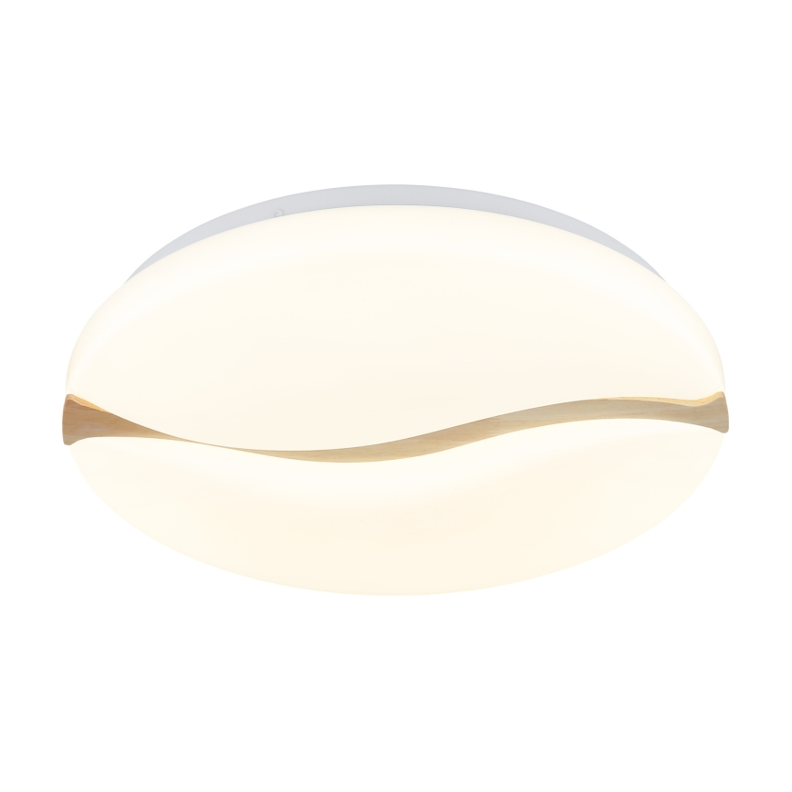 Globo - LED-kattovalaisin LED/24W/230V 3000/4200/6000K halkaisija 39 cm