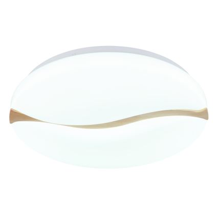 Globo - LED-kattovalaisin LED/24W/230V 3000/4200/6000K halkaisija 39 cm
