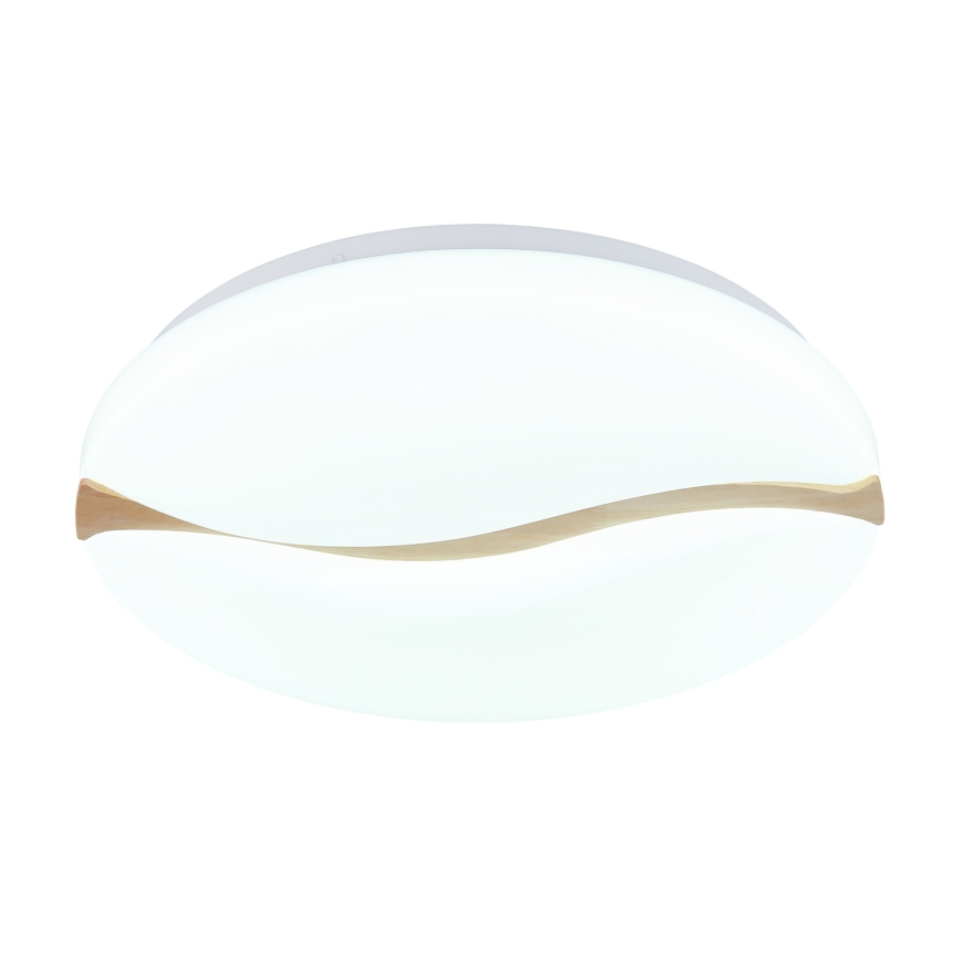 Globo - LED-kattovalaisin LED/24W/230V 3000/4200/6000K halkaisija 39 cm