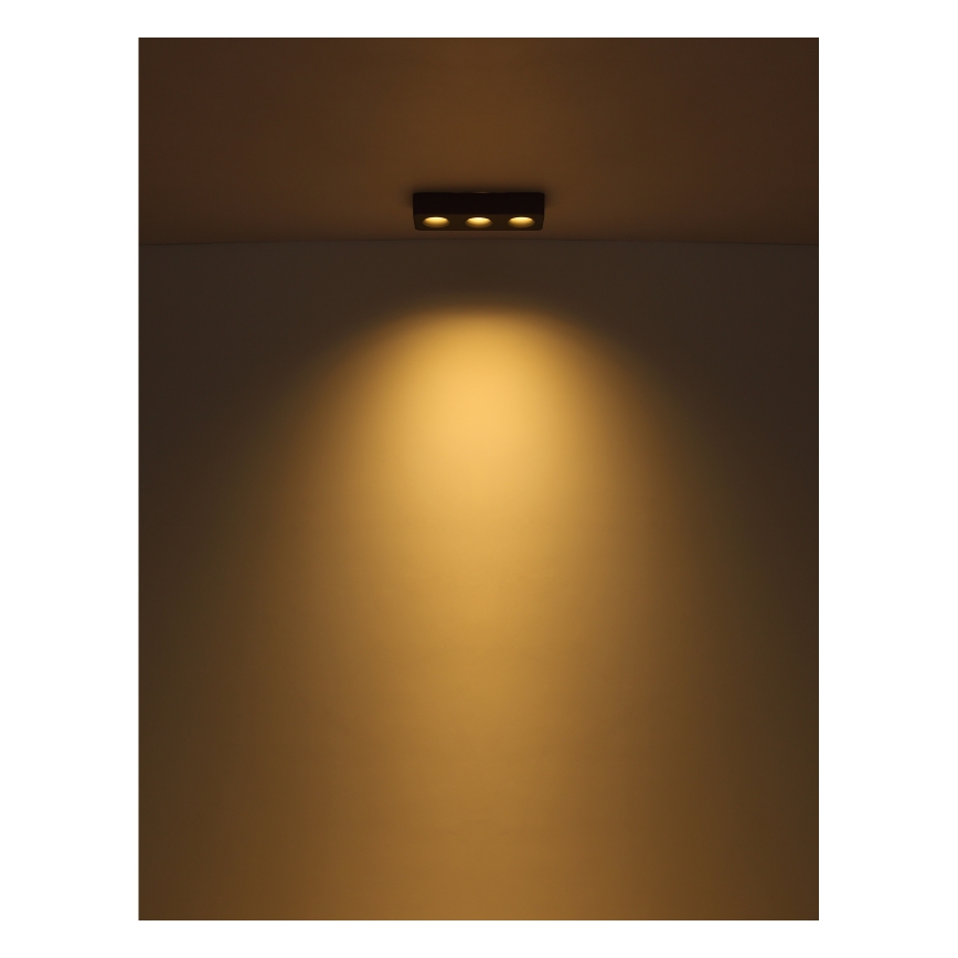 Globo - LED-kattovalaisin LED/14W/230V 11,7x33,2 cm