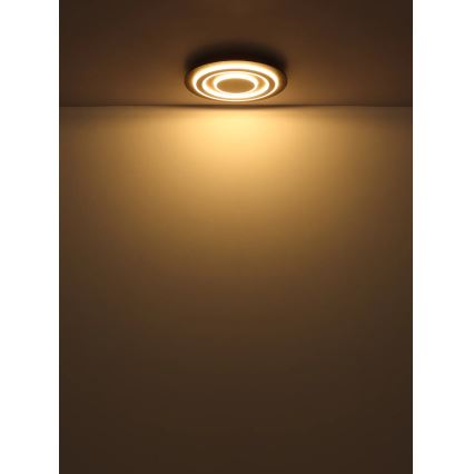 Globo - LED-kattovalaisin LED/24W/230V 3000K halkaisija 32 cm antrasiitti