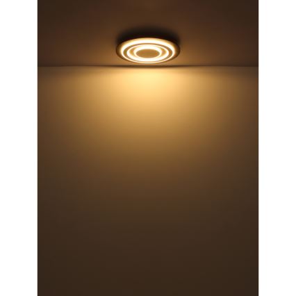 Globo - LED-kattovalaisin LED/24W/230V 3000K halkaisija 32 cm