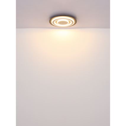 Globo - LED-kattovalaisin LED/24W/230V 3000K halkaisija 32 cm