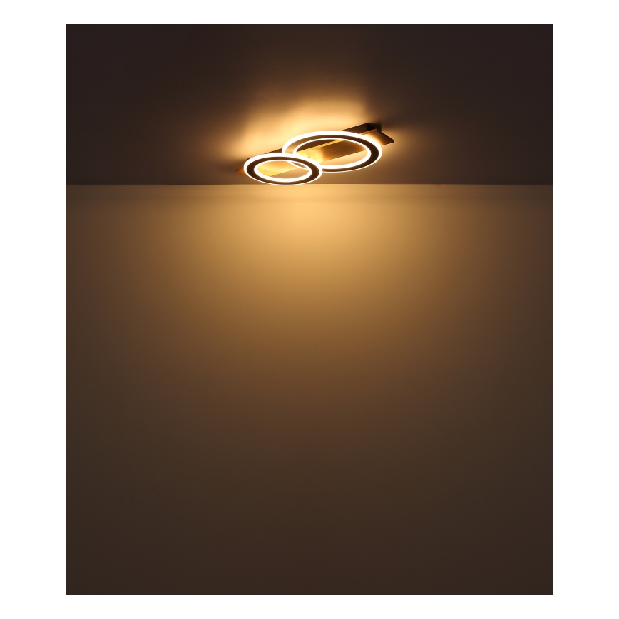 Globo - LED-kattovalaisin LED/40W/230V 3000K 35x63 cm