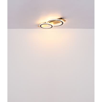 Globo - LED-kattovalaisin LED/40W/230V 3000K 35x63 cm