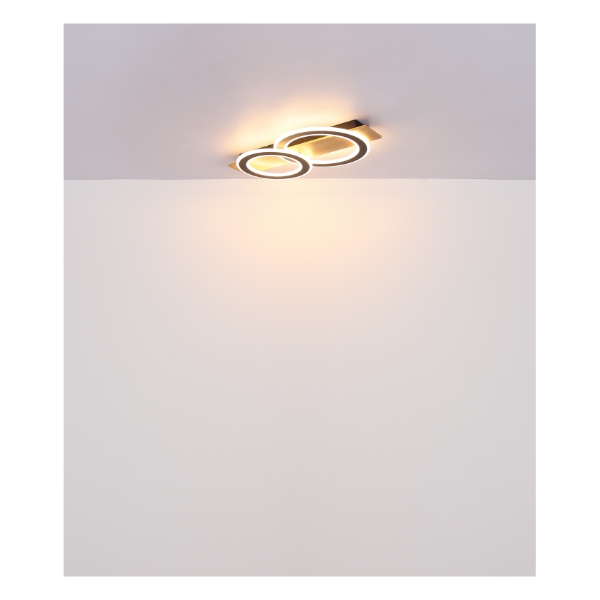 Globo - LED-kattovalaisin LED/40W/230V 3000K 35x63 cm