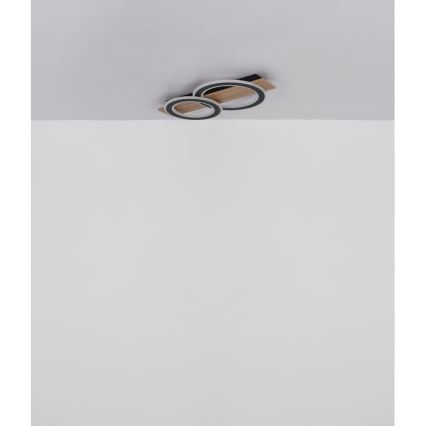 Globo - LED-kattovalaisin LED/40W/230V 3000K 35x63 cm