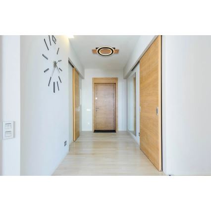 Globo - LED-kattovalaisin LED/18W/230V ruskea