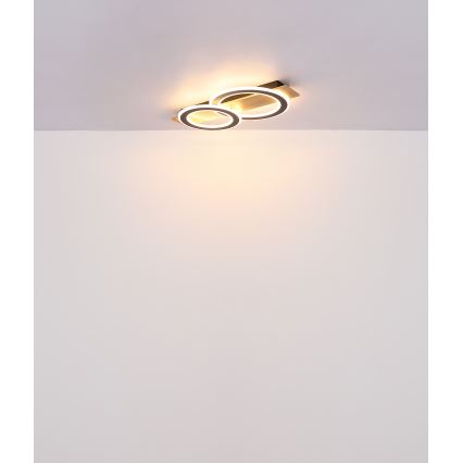 Globo - LED-kattovalaisin LED/40W/230V ruskea