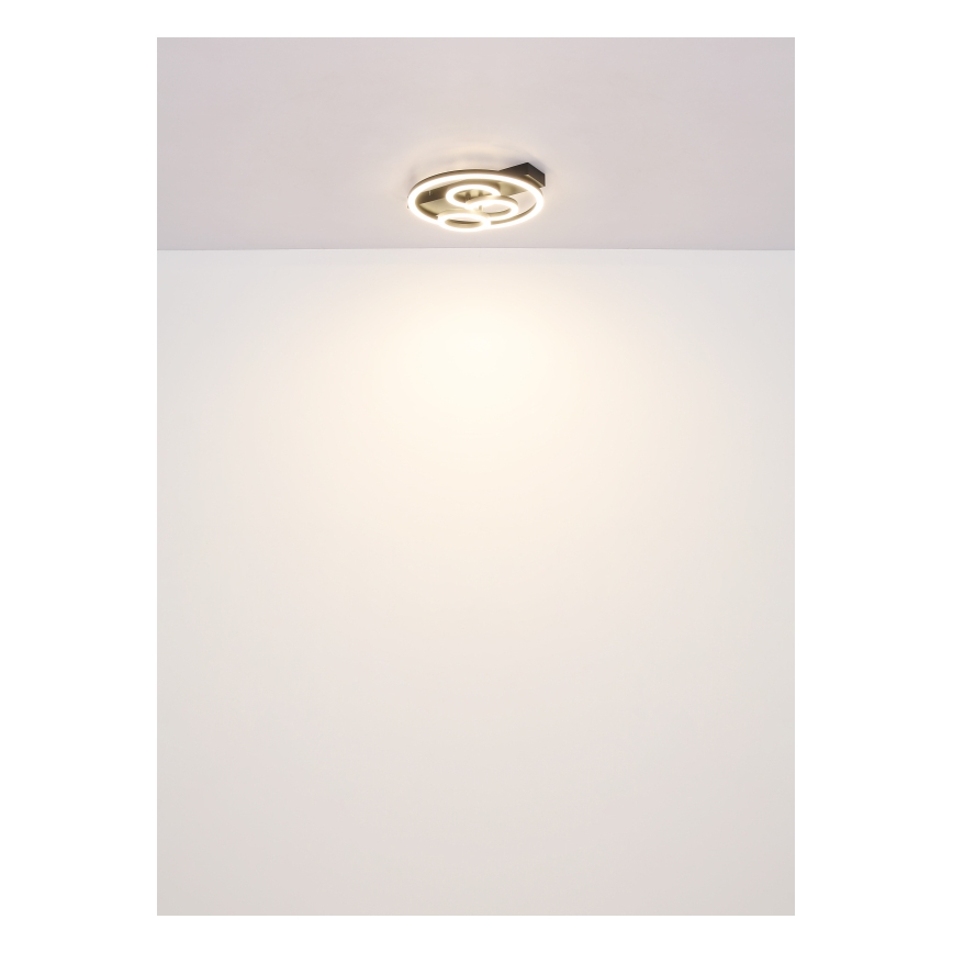 Globo - Himmennettävä LED-kattovalaisin LED/40W/230V 2700-6500K halkaisija 35x33 cm + kauko-ohjaus