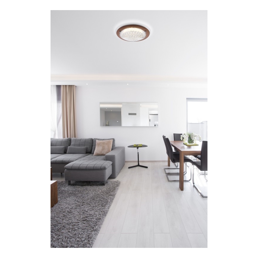Globo - LED-kattovalaisin TABASCO LED/12W/230V
