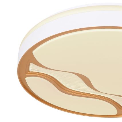 Globo - LED Himmennettävä kattovalo LED/30W/230V 2700K/4000K/6500K + kaukosäädin
