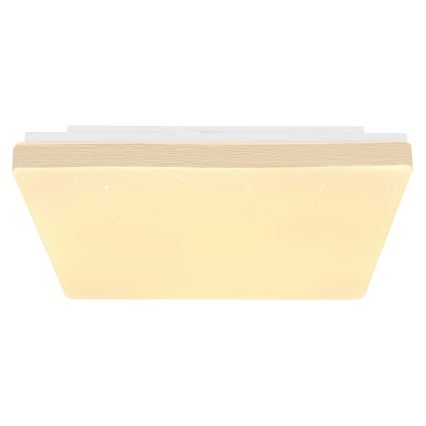 Globo - LED Kattovalo LED/12W/230V