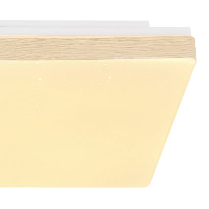 Globo - LED Kattovalo LED/12W/230V