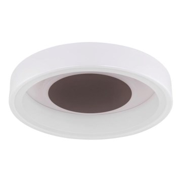 Globo 48398-24 - LED-kattovalaisin GOFFI LED/30W/230V