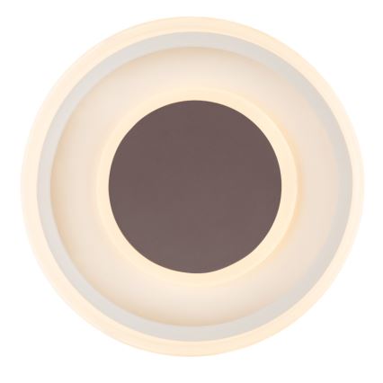 Globo 48398-24 - LED-kattovalaisin GOFFI LED/30W/230V