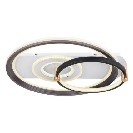 Globo 48459-46 - Himmennettävä LED-kattovalaisin ANI LED/46W/230V 2700-6000K 48x52 cm + kaukosäädin