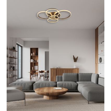 Globo - LED-kattovalaisin LED/70W/230V 3000K 88x110 cm antrasiitti