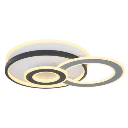 Globo 48552D4 - LED kattovalaisin BRIENNA LED/40W/230V 43x52 cm valkoinen/harmaa
