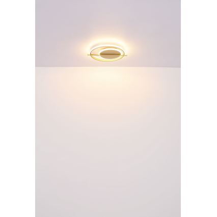 Globo - LED-kattovalaisin LED/36W/230V