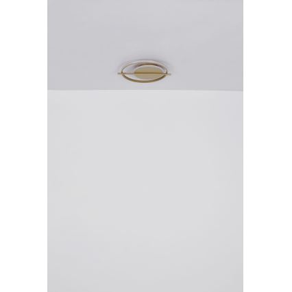 Globo - LED-kattovalaisin LED/36W/230V