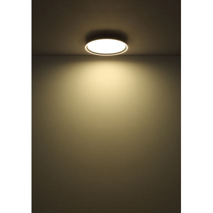 Globo - Himmennettävä LED-kattovalaisin LED/48W/230V halkaisija 50 cm 2700-6000K + kauko-ohjaus