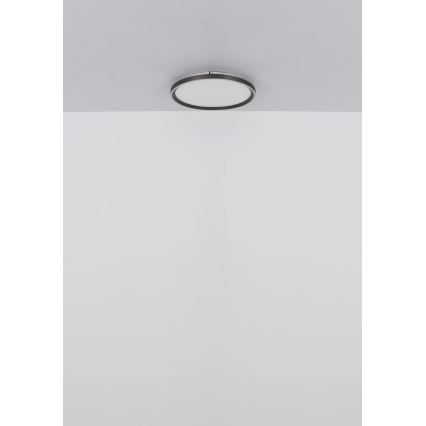 Globo - Himmennettävä LED-kattovalaisin LED/48W/230V halkaisija 50 cm 2700-6000K + kauko-ohjaus