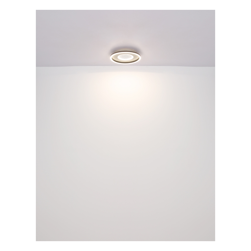Globo - LED-kattovalaisin LED/24W/230V 2700/4500/6500K halkaisija 33 cm