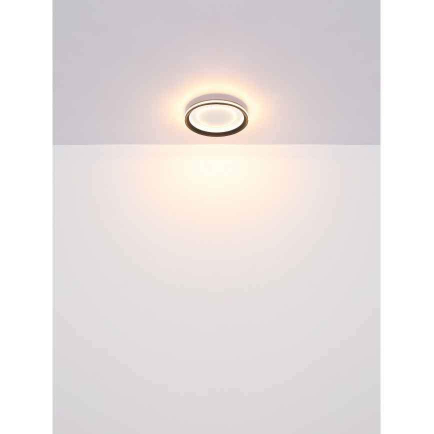 Globo - LED-kattovalaisin LED/18W/230V halkaisija 30,2 cm