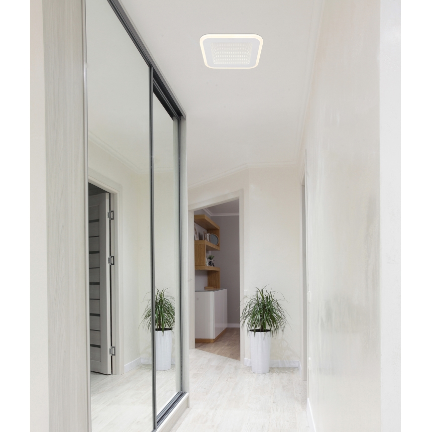 Globo - LED-kattovalaisin LED/12W/230V 4000K
