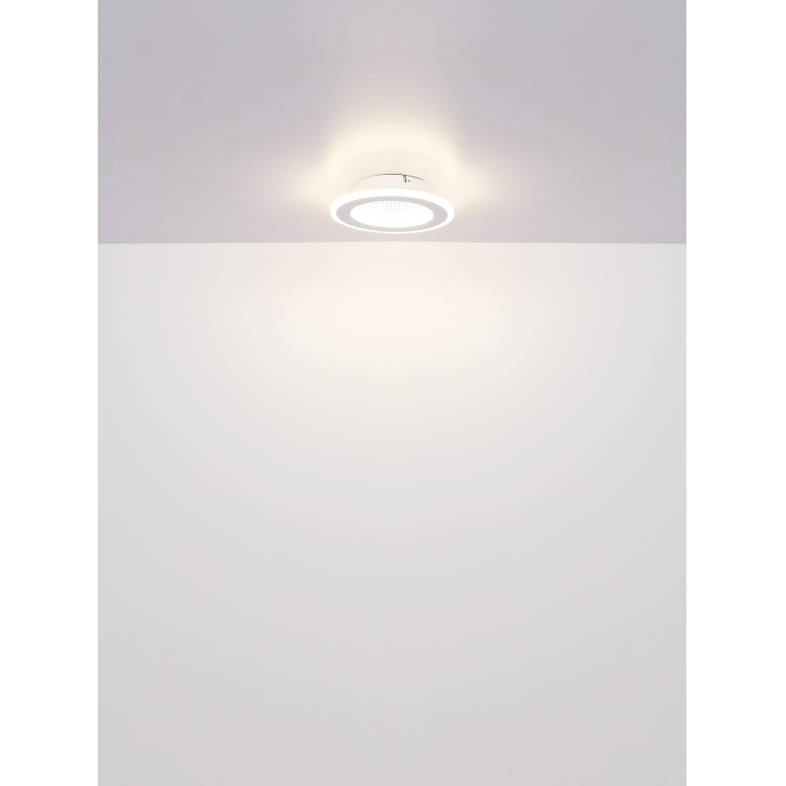 Globo - LED-kattovalaisin LED/12W/230V 4000K