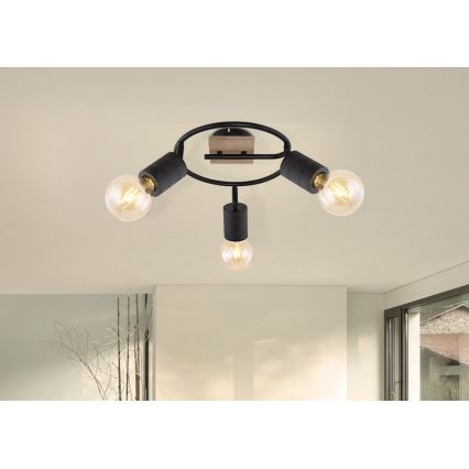 Globo - Kohdevalo 3xE27/60W/230V poppeli
