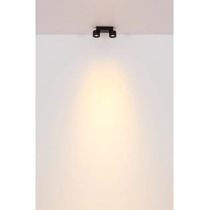 Globo - LED-kohdevalaisin 2xLED/6W/230V musta
