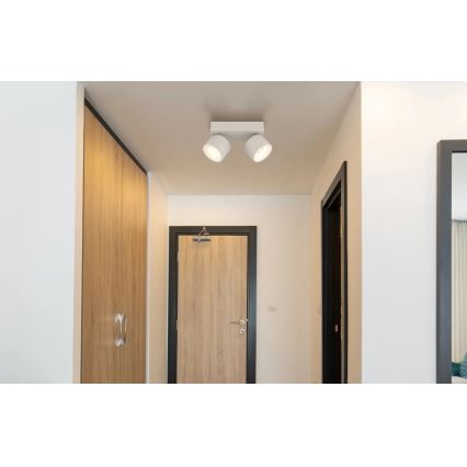 Globo - LED-kohdevalaisin 2xLED/6W/230V
