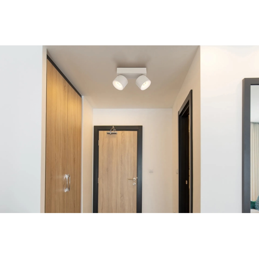 Globo - LED-kohdevalaisin 2xLED/6W/230V