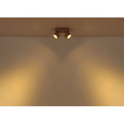 Globo - LED-kohdevalaisin 2xLED/6W/230V