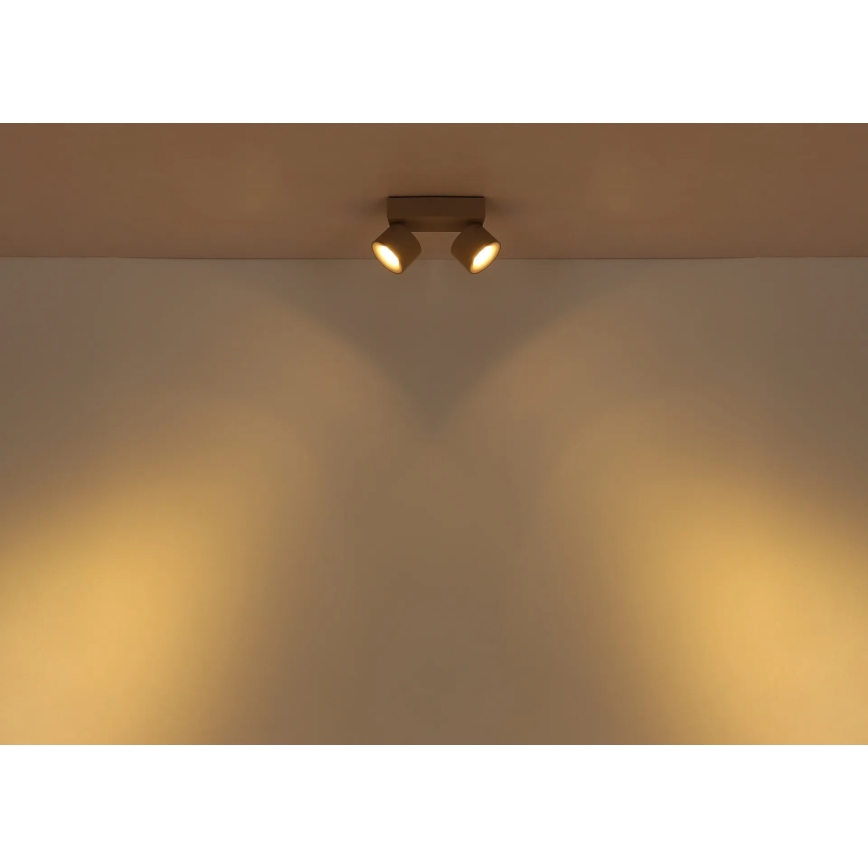 Globo - LED-kohdevalaisin 2xLED/6W/230V