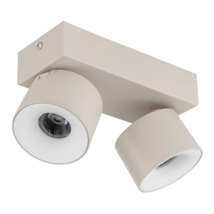 Globo - LED-kohdevalaisin 2xLED/6W/230V