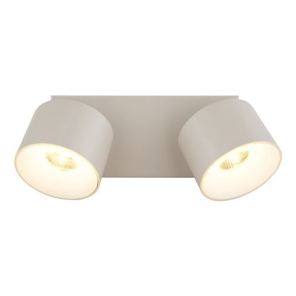 Globo - LED-kohdevalaisin 2xLED/6W/230V