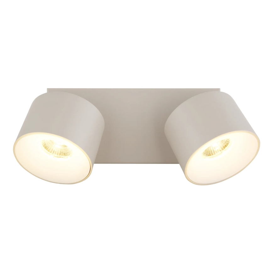 Globo - LED-kohdevalaisin 2xLED/6W/230V