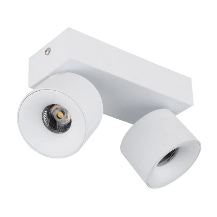 Globo - LED-kohdevalaisin 2xLED/6W/230V valkoinen
