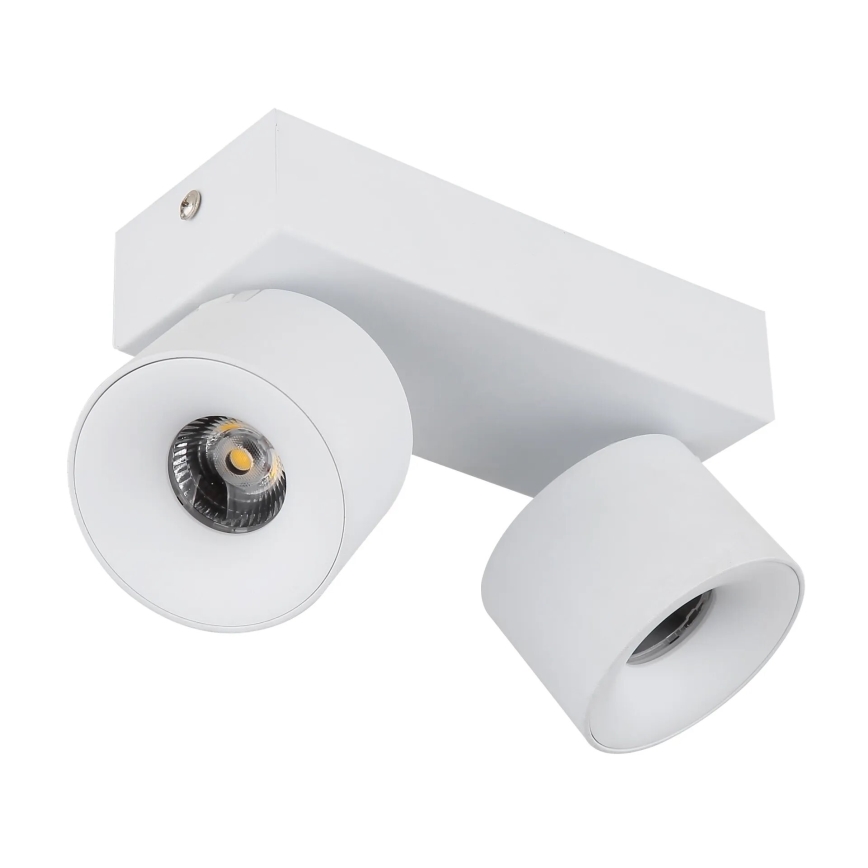 Globo - LED-kohdevalaisin 2xLED/6W/230V valkoinen