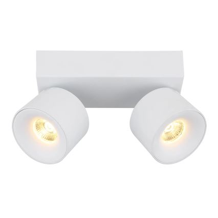 Globo - LED-kohdevalaisin 2xLED/6W/230V valkoinen