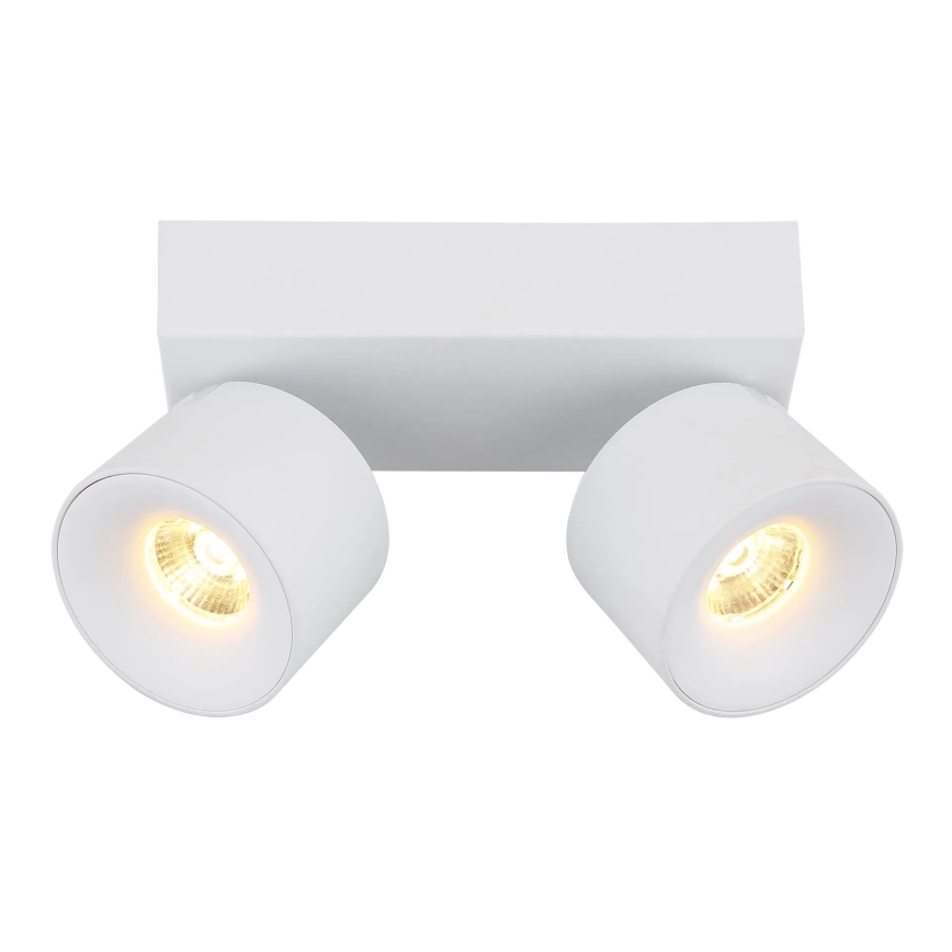 Globo - LED-kohdevalaisin 2xLED/6W/230V valkoinen