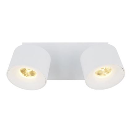 Globo - LED-kohdevalaisin 2xLED/6W/230V valkoinen