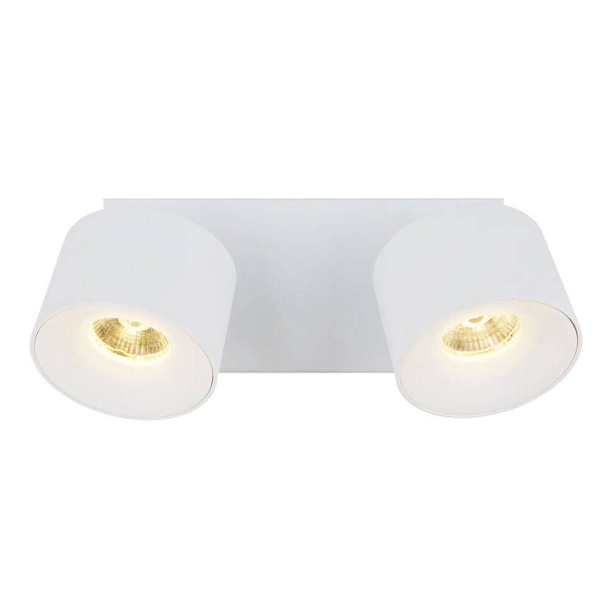Globo - LED-kohdevalaisin 2xLED/6W/230V valkoinen