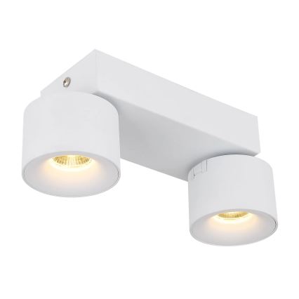 Globo - LED-kohdevalaisin 2xLED/6W/230V valkoinen