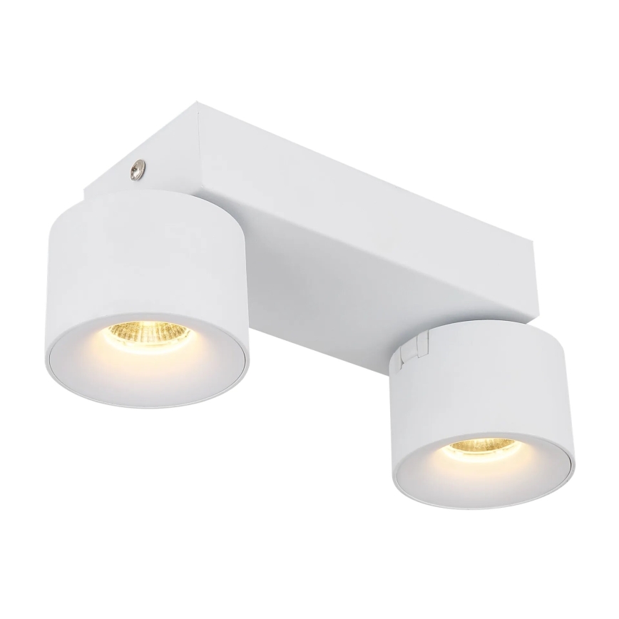 Globo - LED-kohdevalaisin 2xLED/6W/230V valkoinen