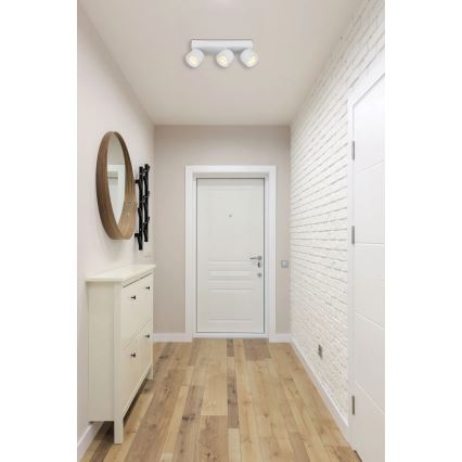 Globo - LED-kohdevalaisin 3xLED/6W/230V valkoinen