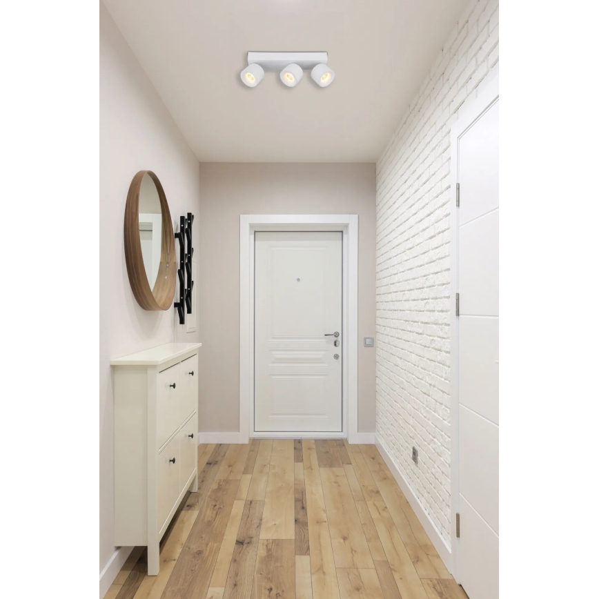Globo - LED-kohdevalaisin 3xLED/6W/230V valkoinen